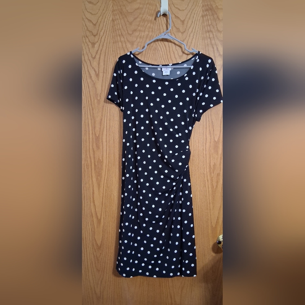 Oh Baby dress by Motherhood, size L